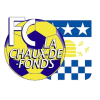 普里什蒂娜FC